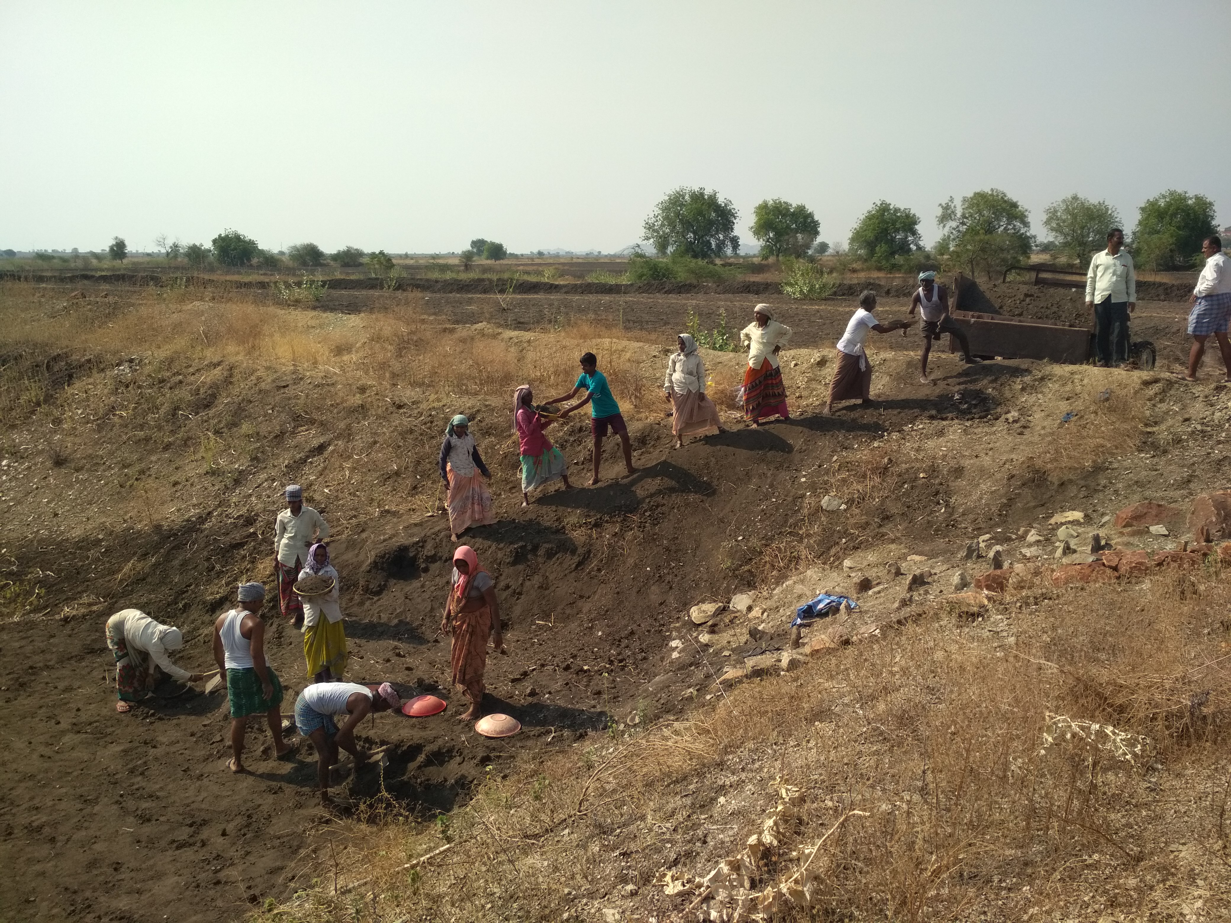 efs_印度项目——为项目工作的农民